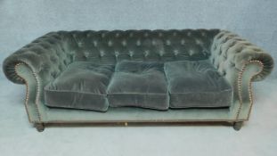 A large three seat Chesterfield sofa upholstered in buttoned velour on turned supports. H.72 W.226