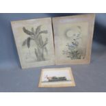 A pair of oriental paintings on fabric of floral and plant studies with artist seal. Mounted in