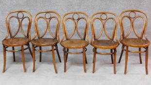 A set of five late 19th century bentwood dining chairs, stamped Annison. H.88cm