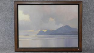 A framed oil on board, lakescape, signed Desmond Turner, gallery label verso. 81x61cm