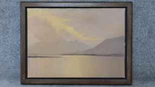 A framed oil on board, lakescape, signed Desmond Turner, gallery label verso. 81x60cm