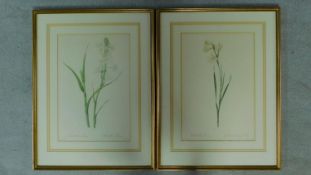 A pair of framed and glazed botanical prints depicting flowers. 57x75cm