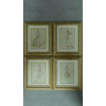 Four framed and glazed lithographic prints of various human form by Sir William Russel Flint.