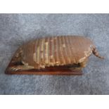 A stuffed armadillo on a wooden base. L 43cm.