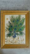 A framed and glazed collage showcasing a peacock on dried flowers. 42x55cm