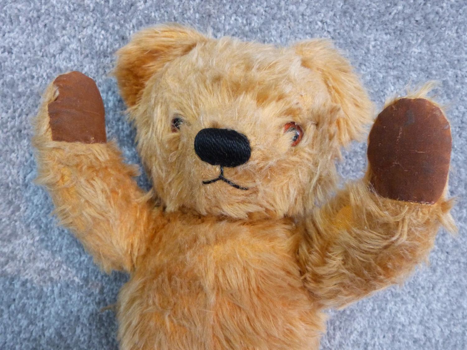 Antique yellow plush jointed Chad Valley growler teddy bear. Brown fabric pads and label to foot. - Image 3 of 6