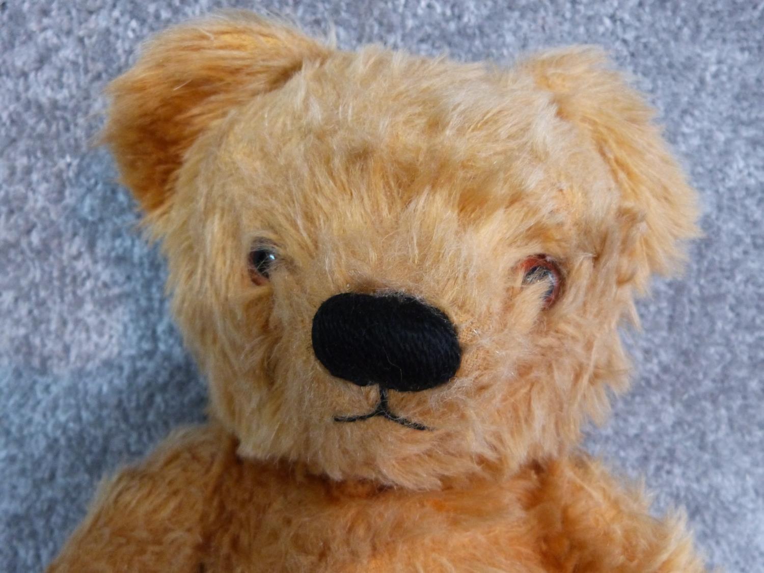 Antique yellow plush jointed Chad Valley growler teddy bear. Brown fabric pads and label to foot. - Image 2 of 6