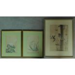 Three antique oriental framed silk paintings depicting an orhcid, a white anenome plant and bamboo