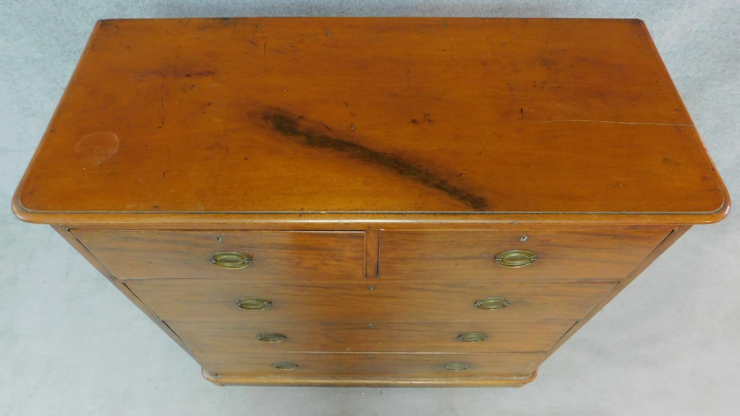 An Edwardian mahogany chest of two short over three long drawers raised on pebble feet. H.123 W. - Image 4 of 7