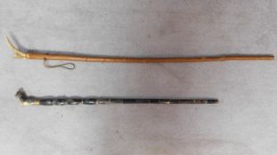 Two canes. One with head form top and entire cane carved from animal horn with brass banding and