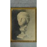 A 20th century framed graphite and chalk study of a classical marble bust. Signed K. Deropirov,