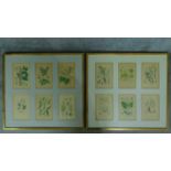 A pair of framed and glazed prints of botanical studies. 68x72cm