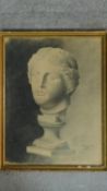 A 20th century framed graphite and chalk study of a classical marble bust. Signed K. Deropirov,