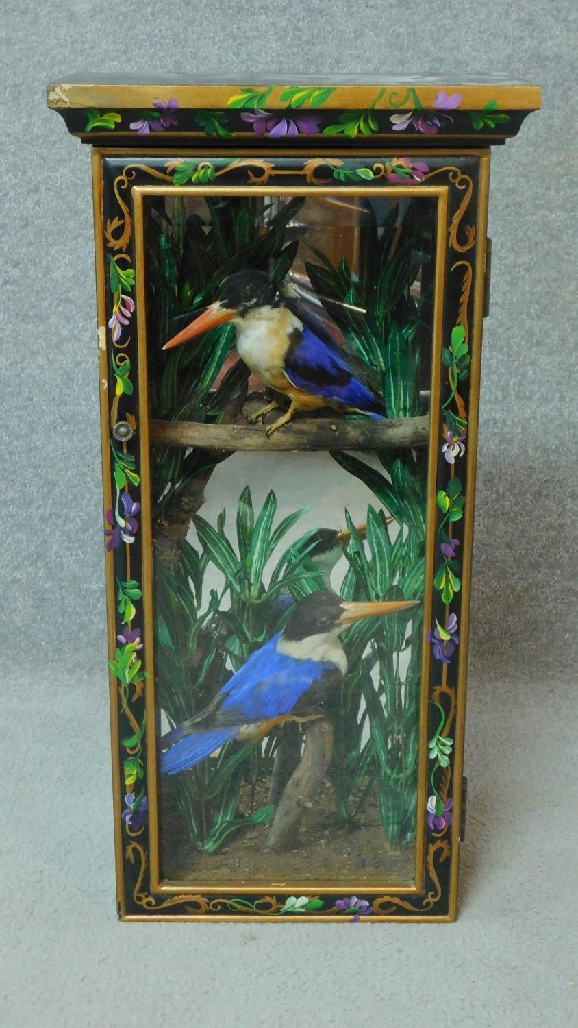 A pair of taxidermy Black Capped Kingfishers in a naturalistic setting. Housed in a wooden hand