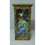 A pair of taxidermy Black Capped Kingfishers in a naturalistic setting. Housed in a wooden hand