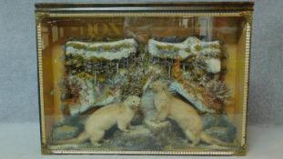 An antique cased taxidermy study of two otters beneath a frozen rock face, with substrate. Brass