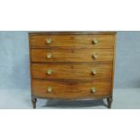 A Regency mahogany bow fronted chest of four long drawers with solid mahogany drawer linings,