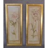 A pair of gilt framed and glazed prints depicting orchids and a peony. 40cm x 1m.