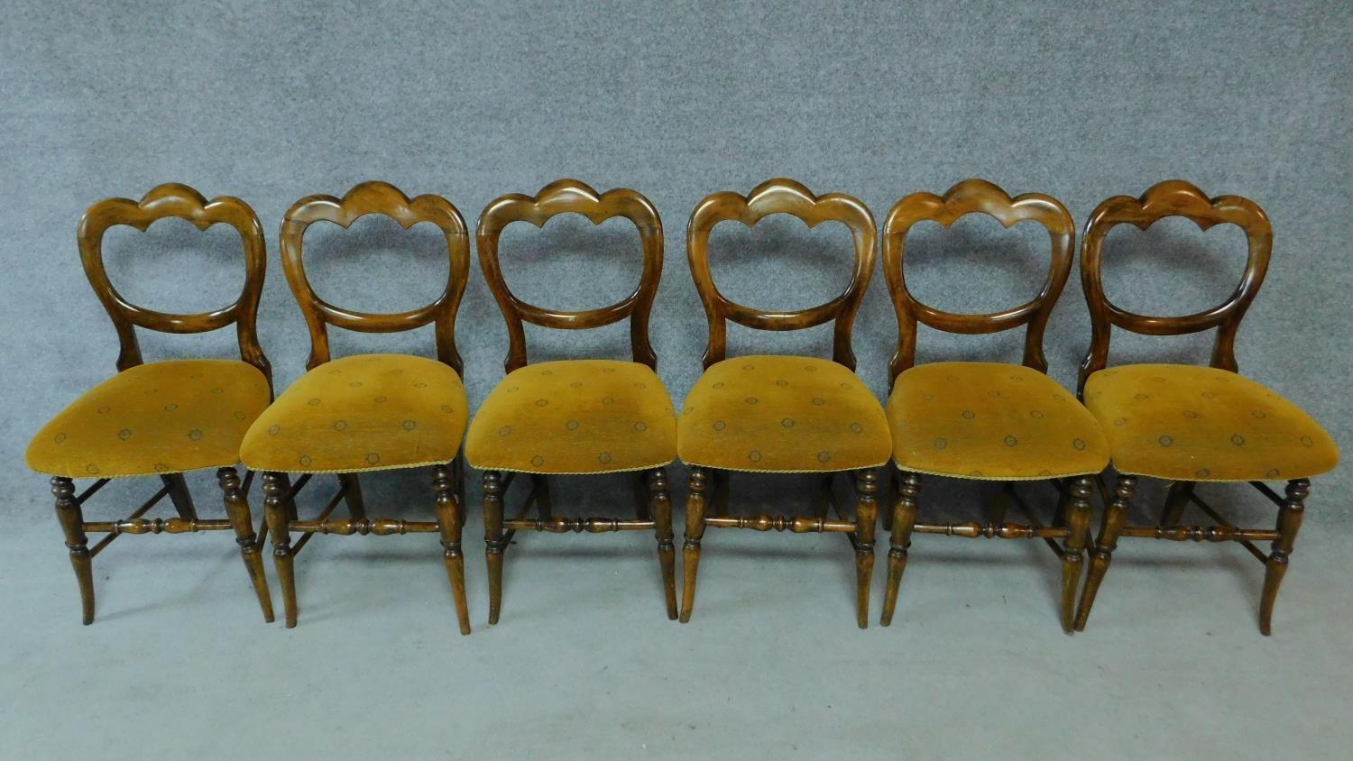 A set of six Victorian stained beech dining chairs on swept turned supports. H.85cm