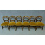 A set of six Victorian stained beech dining chairs on swept turned supports. H.85cm