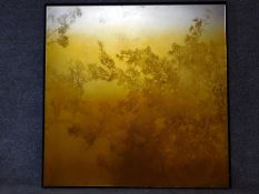 A framed mixed media on acrylic by Australian artist Andrew Taylor. Titled 'Outside: Canopy',