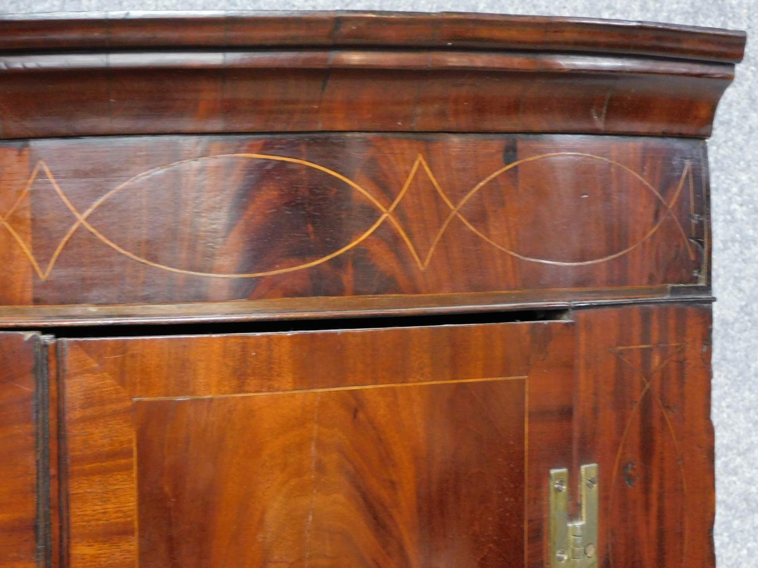 Georgian flame mahogany and mahogany crossbanded bowfronted corner cabinet with satinwood string - Image 4 of 5