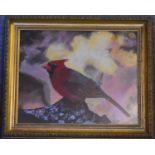 A framed and glazed oil on board, songbird, signed 'R. Blomeley 2005'. H.60 x 50cm