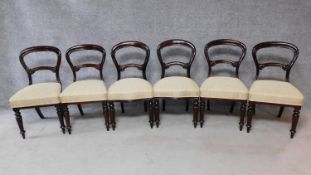 A set of six Victorian mahogany balloon back dining chairs on turned tapering supports. H.89cm