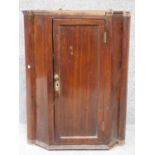 A 19th century mahogany corner cabinet with panel doors enclosing shelves on plinth base. H.74 W.