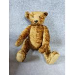 A 20th century straw filled golden plush humpback teddy bear with jointed limbs.. H51cm.