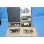 FARMING INTEREST, A FOLDER OF PHOTOGRAPHS, to include cattle, portraits, and a hay making scene