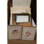 A BOX OF ASSORTED PICTURES AND PRINTS TO INCLUDE BOTANICAL INTEREST