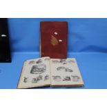 THE PICTORIAL MUSEUM OF ANIMATED NATURE VOL 1 (MAMALIA AND BIRDS) and volume II (Birds, Reptiles,