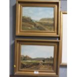 A PAIR OF GILT FRAMED OILS ON BOARD DEPICTING COTTAGES IN COUNTRY LANDSCAPES SIGNED H. FASEY