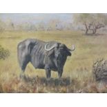 DOUGLAS PHILLIPS (b.1962). 'African Buffalo', see label verso, signed lower right, oil on board,