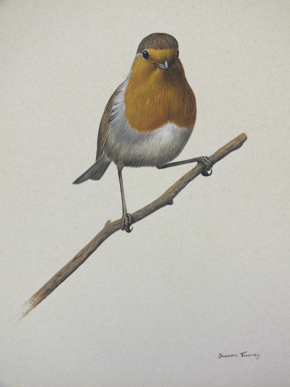 SIMON TURVEY (b. 1957). Study of a robin on a branch, signed lower right, mixed media on paper,