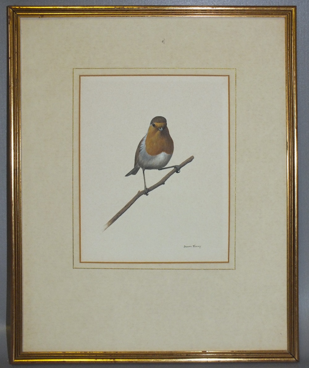 SIMON TURVEY (b. 1957). Study of a robin on a branch, signed lower right, mixed media on paper, - Image 4 of 4