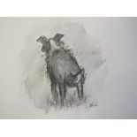 CIRCLE OF JOHN KYFFIN WILLIAMS (1918-2006). Study of a sheep dog, bears initials lower right, pencil