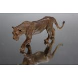 AN AUSTRIAN COLD PAINTED BRONZE FIGURE OF A WALKING LIONESS, probably that of Franz Bergman,