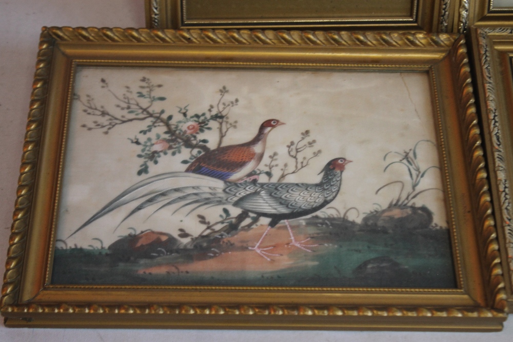 FOUR CHINESE RICE PAPER PAINTINGS to include a seated figure, a pair of pheasants, flowers etc. (4) - Image 2 of 5