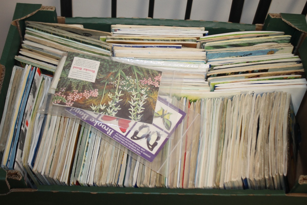 A LARGE QUANTITY OF VARIOUS TEA CARDS, loose and in albums and plastic sleeves - Image 2 of 5