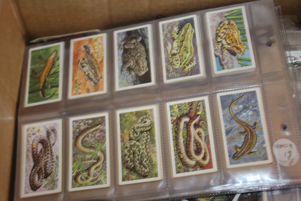 A LARGE QUANTITY OF VARIOUS TEA CARDS, loose and in albums and plastic sleeves - Image 4 of 5