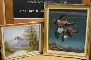 AN OIL OF CANVAS OF DUCKS IN FLIGHT TOGETHER WITH A MOUNTAINOUS RIVER SCENE (2)