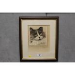 A SIGNED LIMITED EDITION PORTRAIT PRINT OF A BLACK AND WHITE CAT