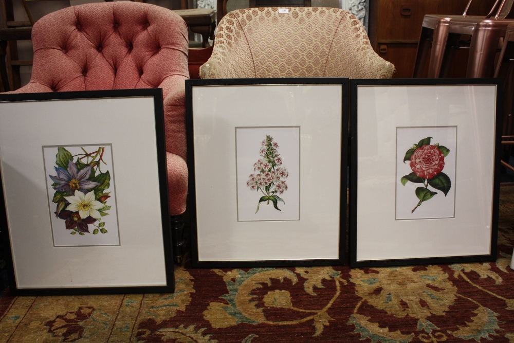 A SET OF THREE MODERN BLACK FRAMED BOTANICAL PRINTS - OVERALL DIMENSIONS 61 X 51 cm (3)