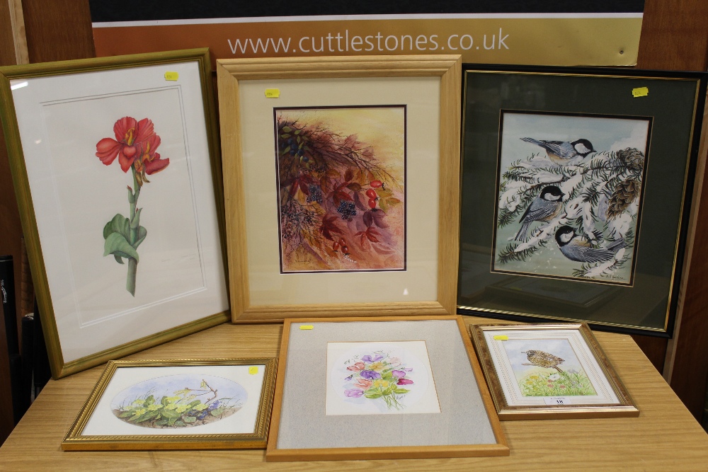 A SELECTION OF FRAMED AND GLAZED WATERCOLOURS, MAINLY FLORAL THEMED (6)