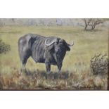 DOUGLAS PHILLIPS (b.1962). 'African Buffalo', see label verso, signed lower right, oil on board,