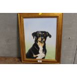 JOAN FIELDEN - A GILT FRAMED OIL ON CANVAS DEPICTING A DOG signed lower right 39.5cm x 49.5 cm