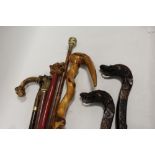 A COLLECTION OF SEVEN ASSORTED WALKING CANES TO INCLUDE A PAIR OF DRAGON SHAPED EXAMPLES