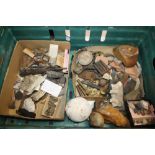 A QUANTITY OF STONES, FOSSILS, METAL BADGES ETC. FROM THE H. STOPES-ROE ESTATE